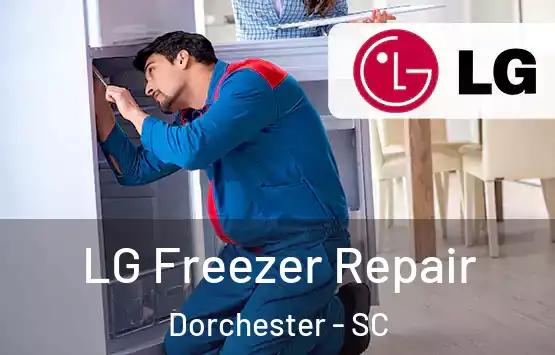  LG Freezer Repair Dorchester - SC