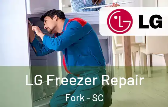  LG Freezer Repair Fork - SC
