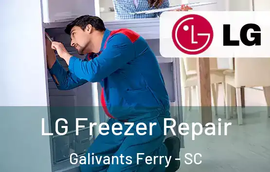  LG Freezer Repair Galivants Ferry - SC