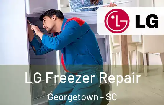  LG Freezer Repair Georgetown - SC