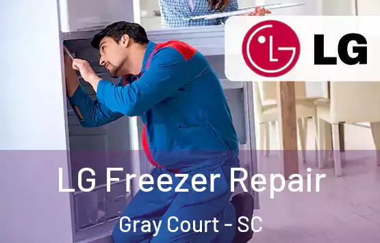  LG Freezer Repair Gray Court - SC