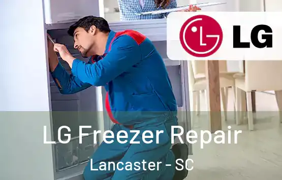  LG Freezer Repair Lancaster - SC