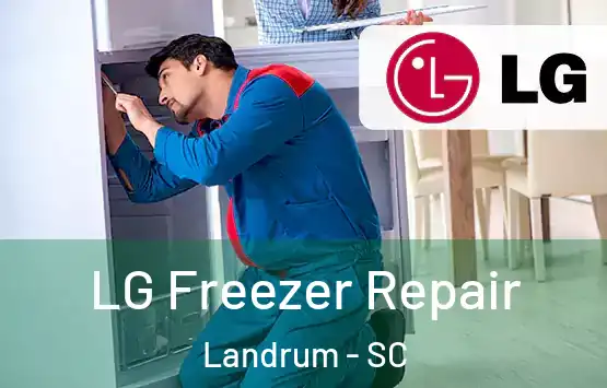  LG Freezer Repair Landrum - SC
