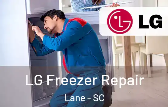  LG Freezer Repair Lane - SC