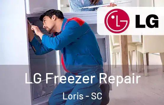  LG Freezer Repair Loris - SC