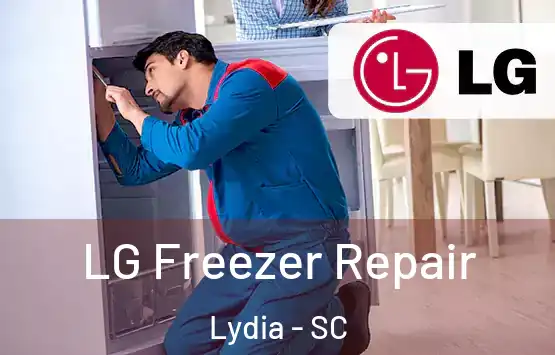  LG Freezer Repair Lydia - SC