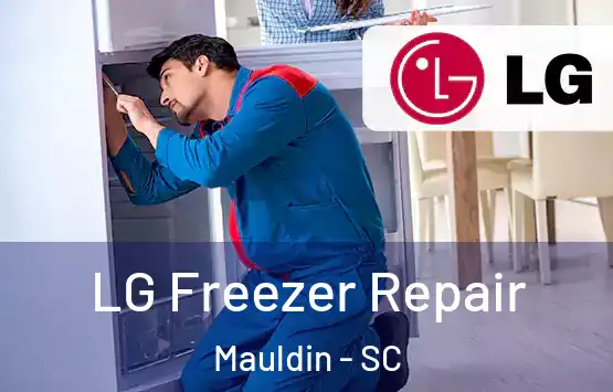  LG Freezer Repair Mauldin - SC