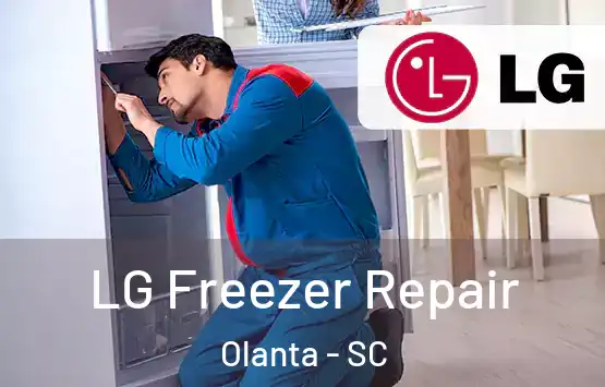  LG Freezer Repair Olanta - SC