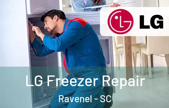  LG Freezer Repair Ravenel - SC