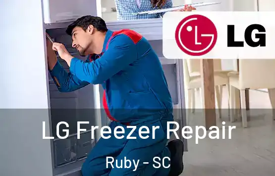  LG Freezer Repair Ruby - SC