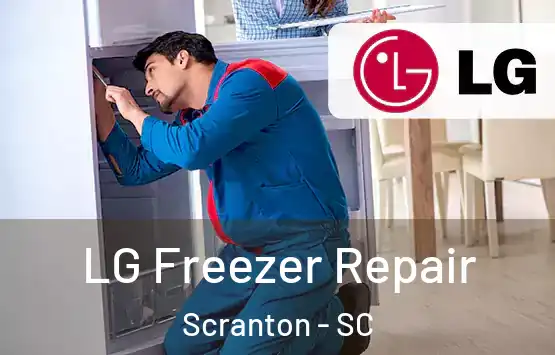  LG Freezer Repair Scranton - SC