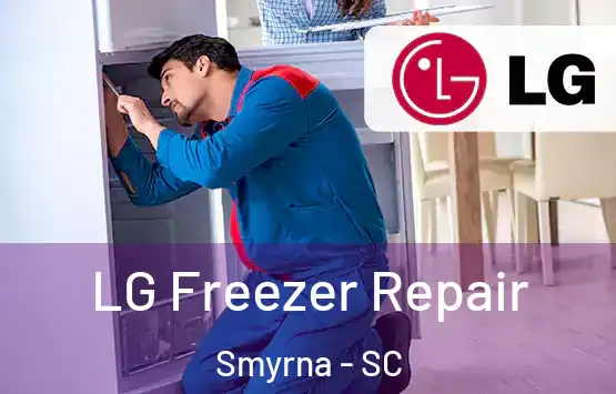  LG Freezer Repair Smyrna - SC