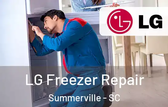  LG Freezer Repair Summerville - SC