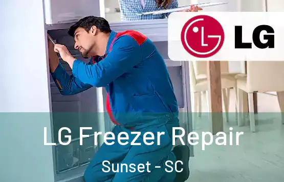  LG Freezer Repair Sunset - SC