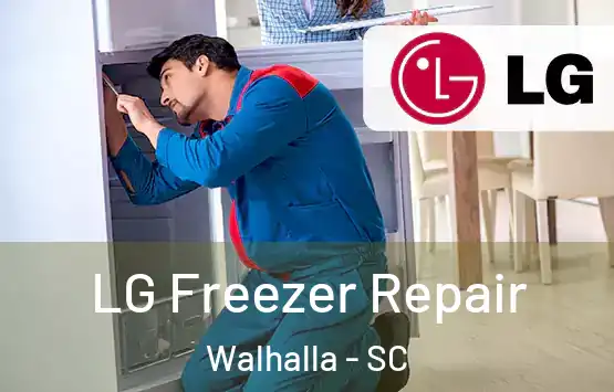  LG Freezer Repair Walhalla - SC