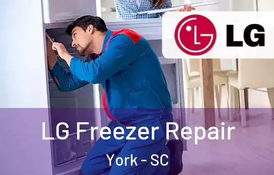  LG Freezer Repair York - SC