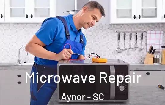  Microwave Repair Aynor - SC