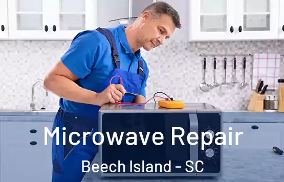  Microwave Repair Beech Island - SC