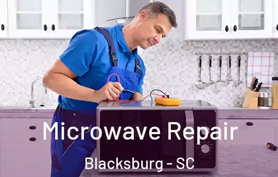  Microwave Repair Blacksburg - SC