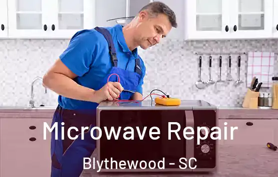  Microwave Repair Blythewood - SC