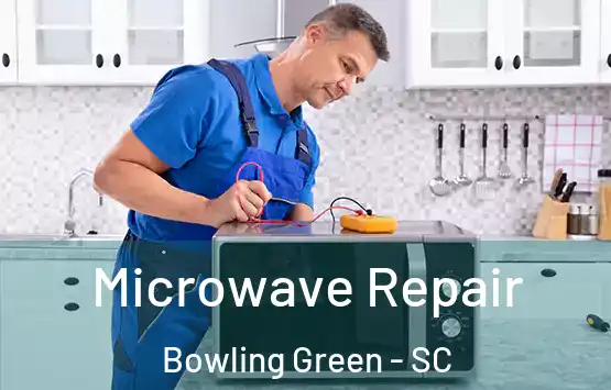  Microwave Repair Bowling Green - SC