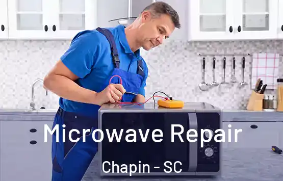  Microwave Repair Chapin - SC