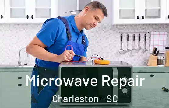  Microwave Repair Charleston - SC