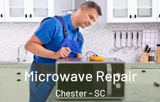  Microwave Repair Chester - SC