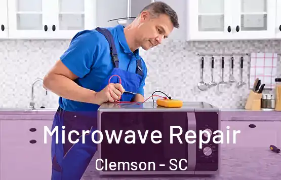  Microwave Repair Clemson - SC