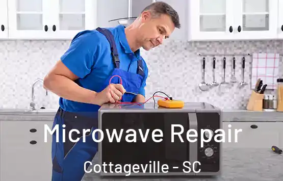  Microwave Repair Cottageville - SC