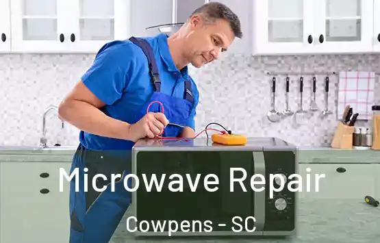  Microwave Repair Cowpens - SC
