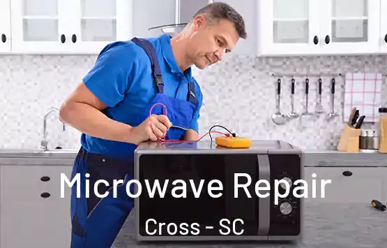  Microwave Repair Cross - SC