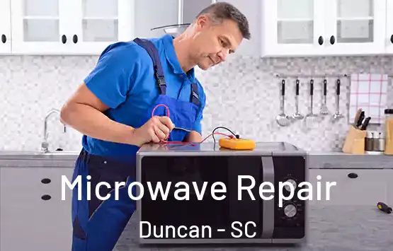  Microwave Repair Duncan - SC