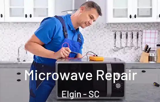  Microwave Repair Elgin - SC