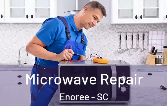  Microwave Repair Enoree - SC
