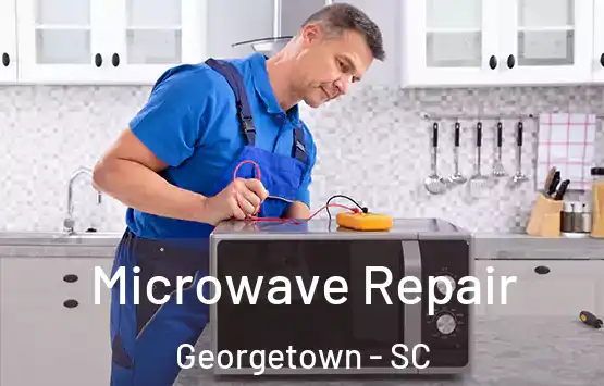  Microwave Repair Georgetown - SC