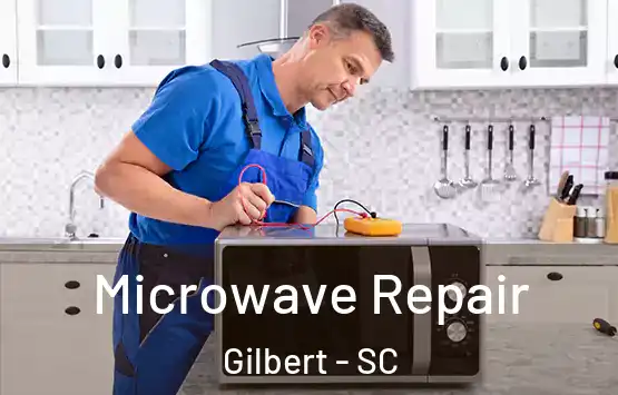  Microwave Repair Gilbert - SC