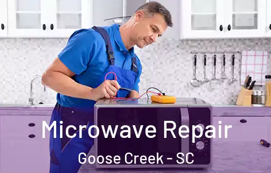  Microwave Repair Goose Creek - SC