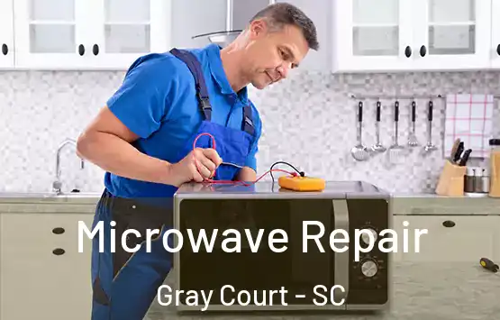  Microwave Repair Gray Court - SC