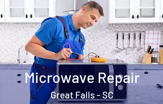 Microwave Repair Great Falls - SC