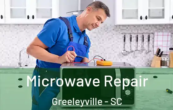  Microwave Repair Greeleyville - SC