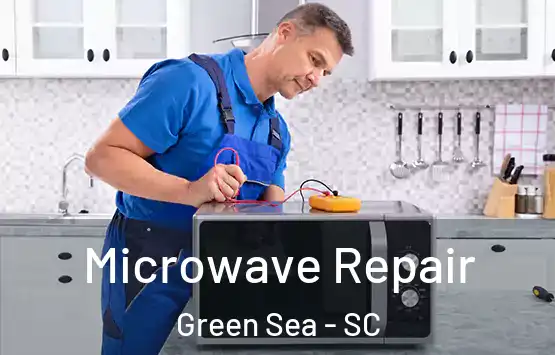  Microwave Repair Green Sea - SC