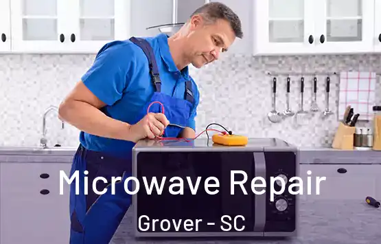  Microwave Repair Grover - SC