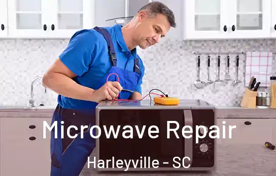  Microwave Repair Harleyville - SC