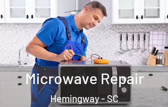  Microwave Repair Hemingway - SC