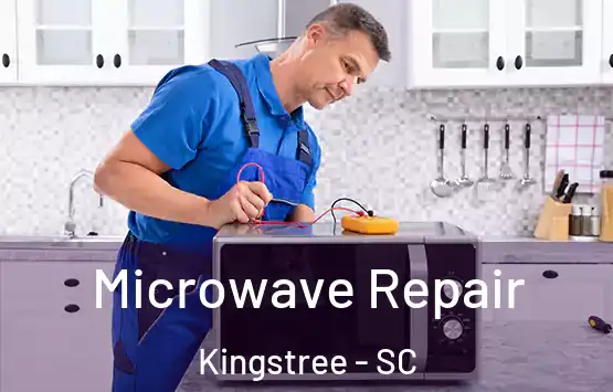  Microwave Repair Kingstree - SC