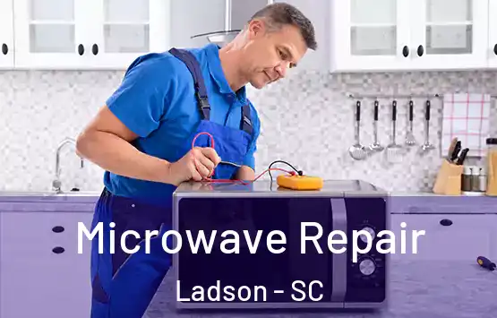  Microwave Repair Ladson - SC