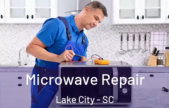  Microwave Repair Lake City - SC