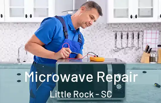  Microwave Repair Little Rock - SC