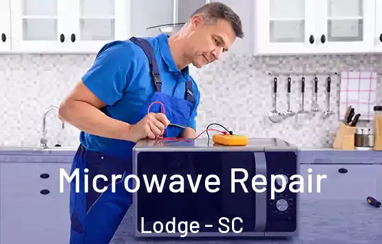  Microwave Repair Lodge - SC